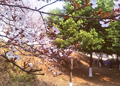 合江县先市职业高级中学