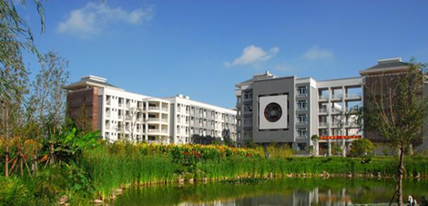 校园环境(11)